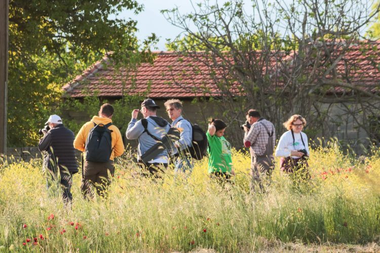 Photography-13-750x500