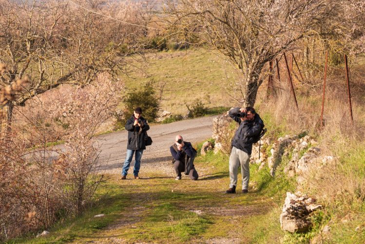 Photography-15-749x500