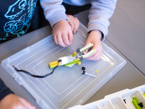 ΡΟΜΠΟΤΙΚΗ ΚΑΙ ΦΙΛΑΝΑΓΝΩΣΙΑ