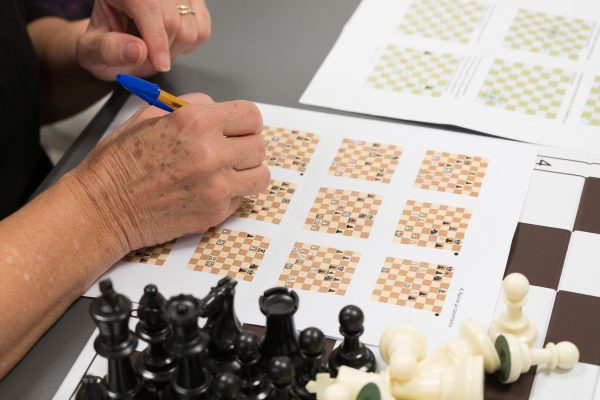 ΣΚΑΚΙ ΕΝΗΛΙΚΩΝ